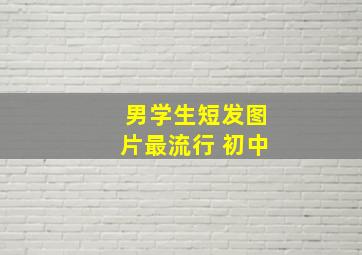 男学生短发图片最流行 初中